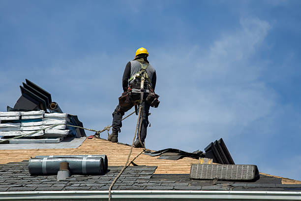 Professional Metal Roofing technician working in Brunsville, IA